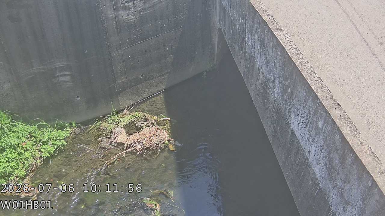 光明排水下游