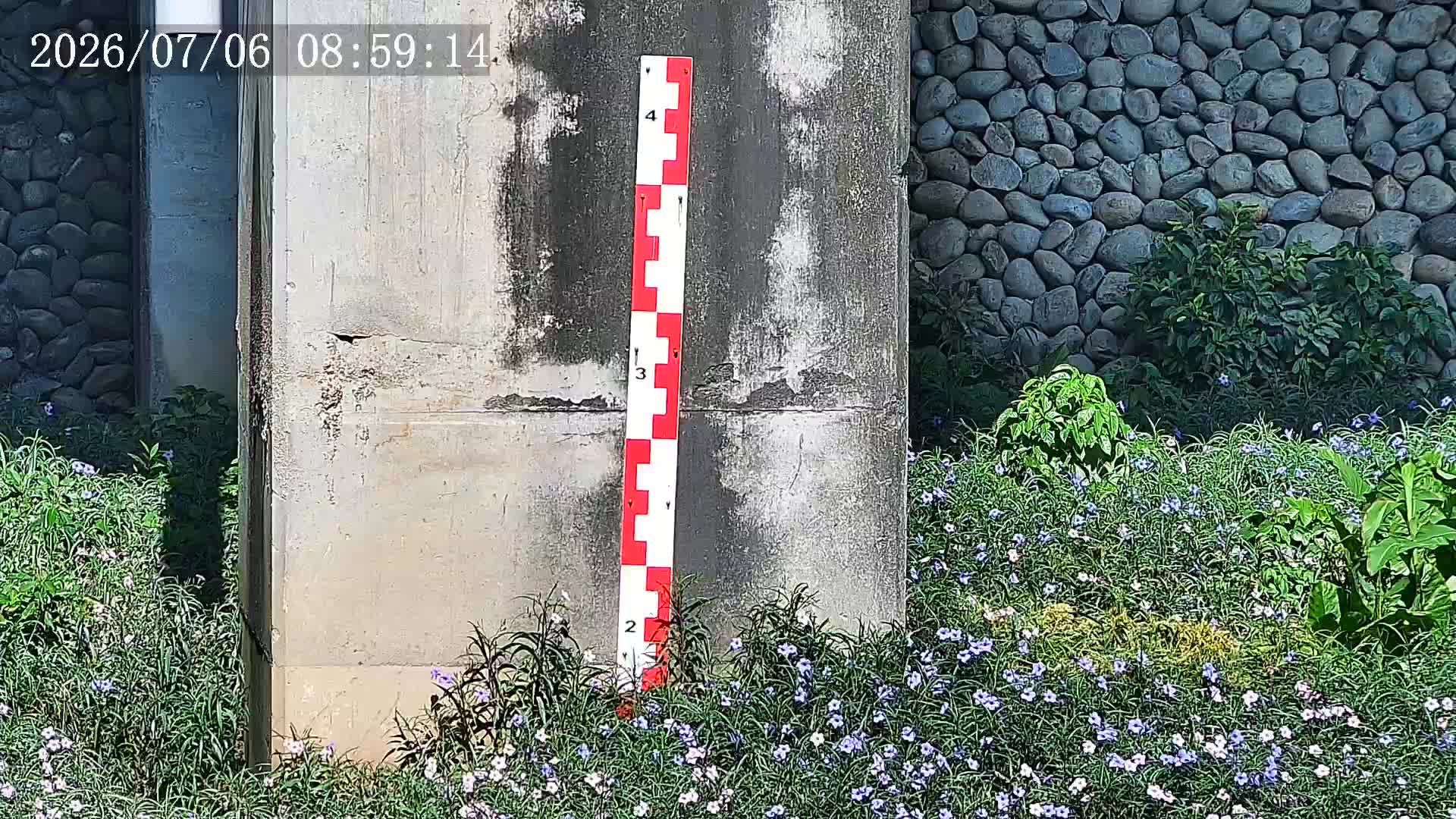 湳仔溝 南興橋 監視器