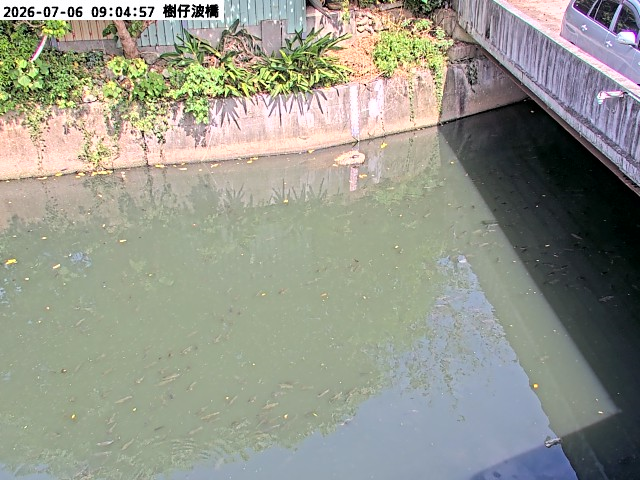 樹仔坡橋