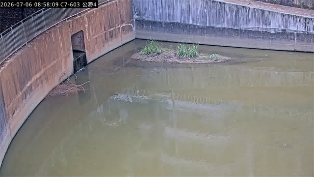 公滯4滯洪池