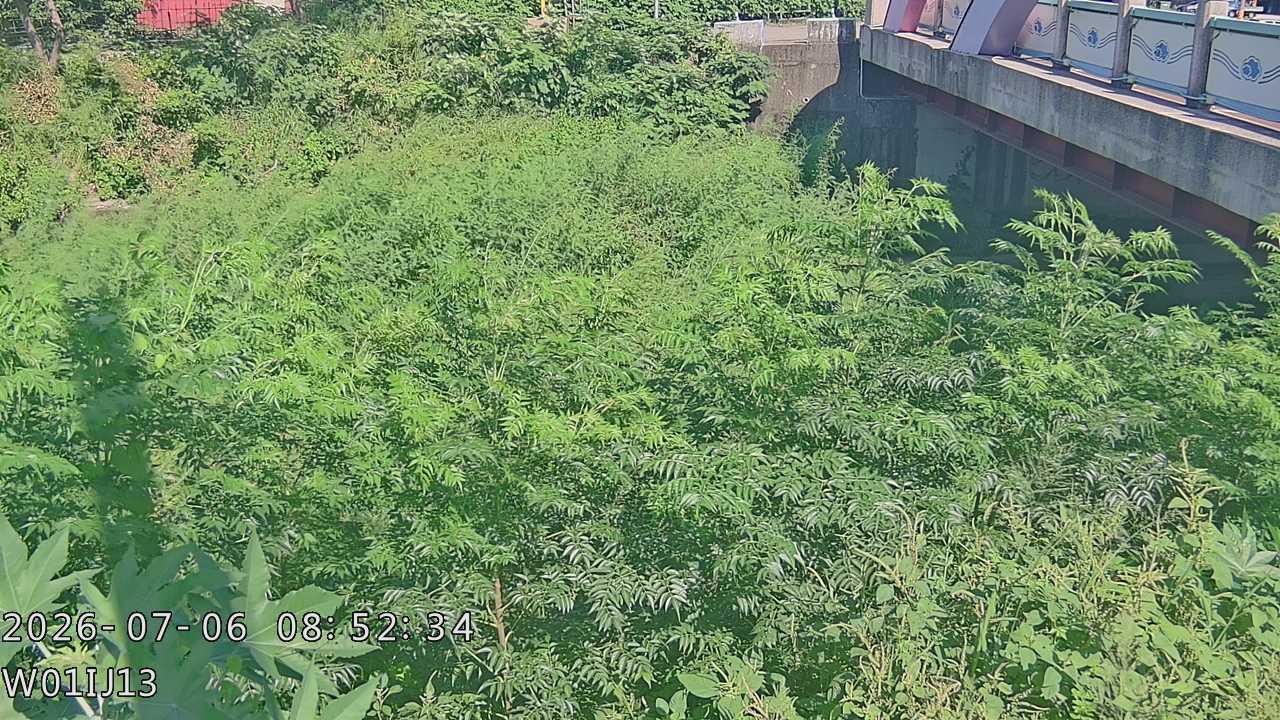 龍井大排上游