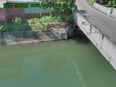為東橋