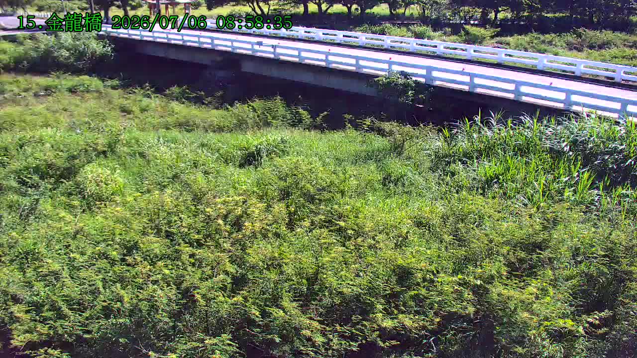 金龍橋