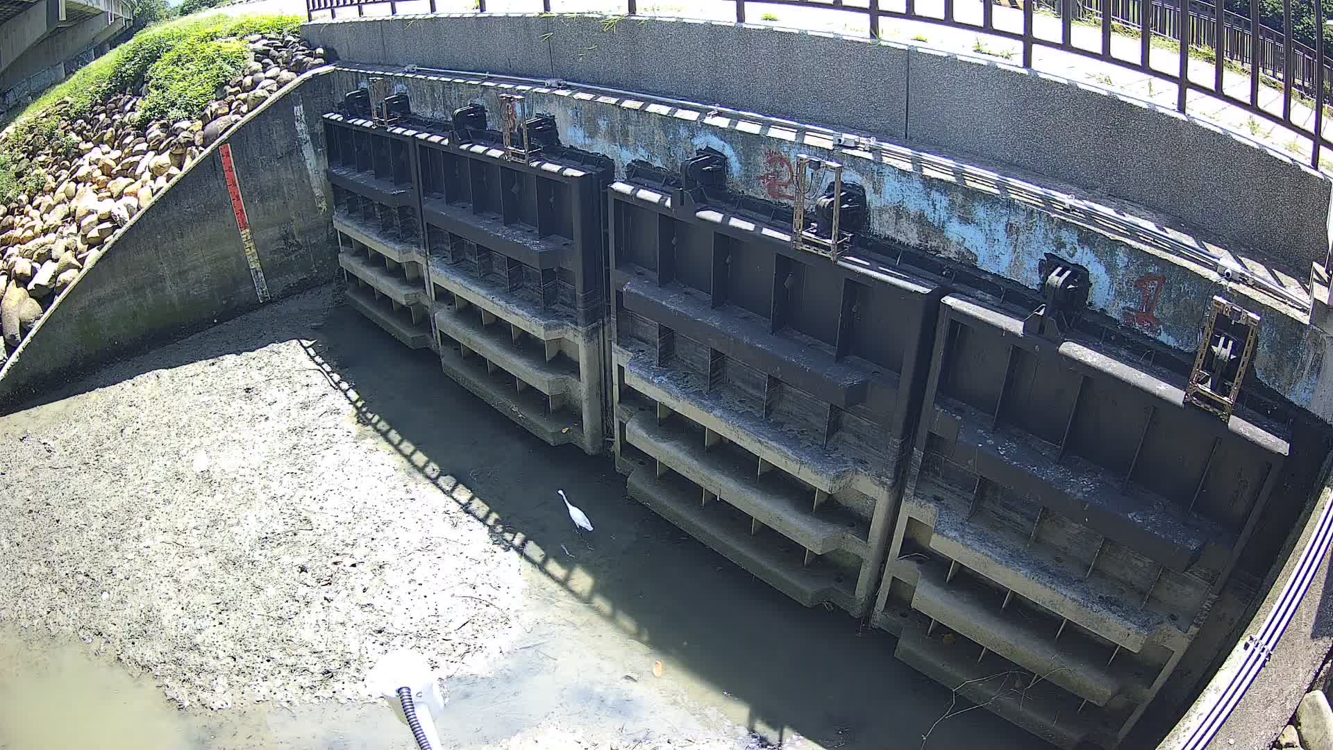 頭前溪舊港島環島護岸 監視器(外水)