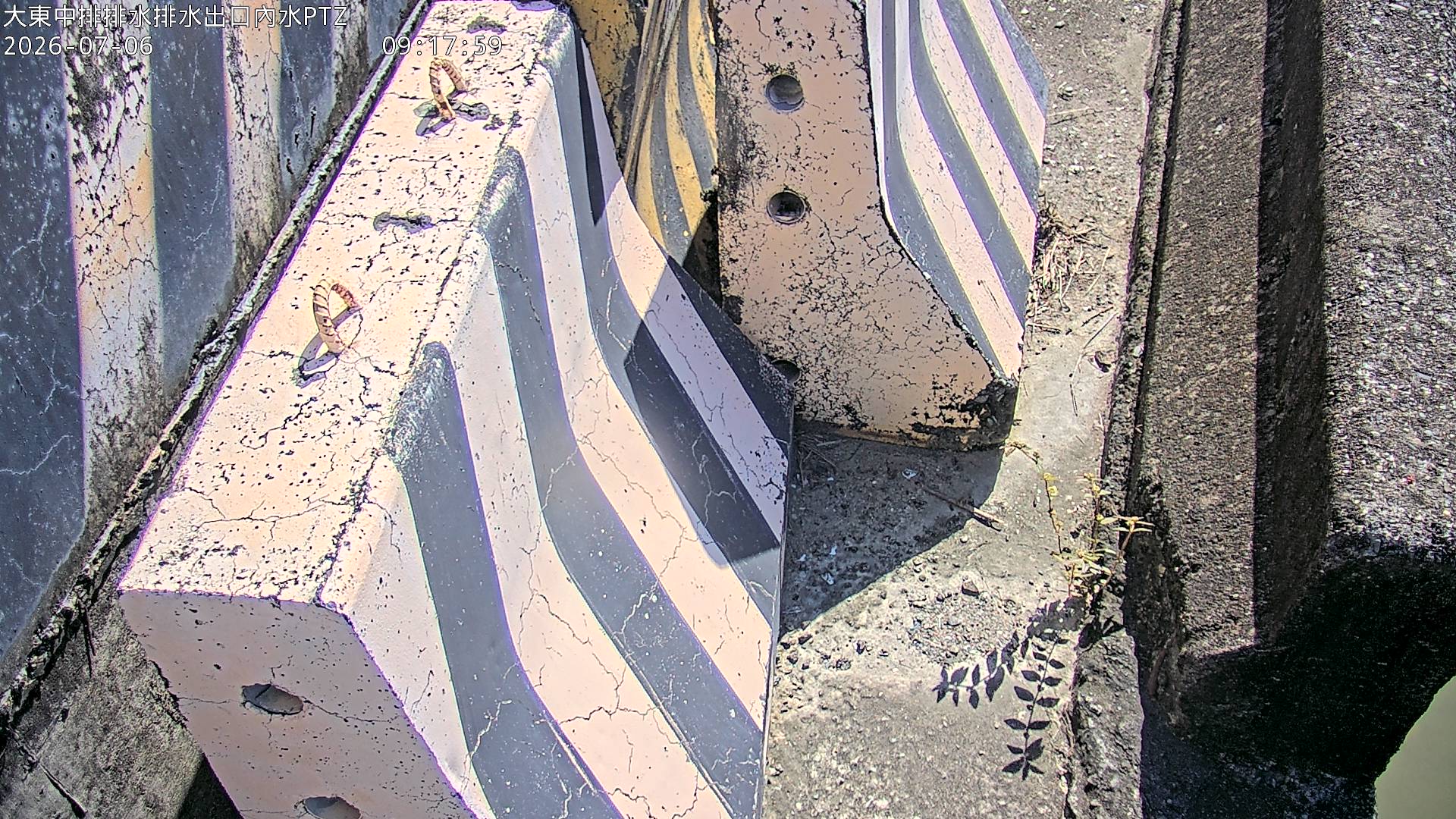 大東中排排水排水出口內水