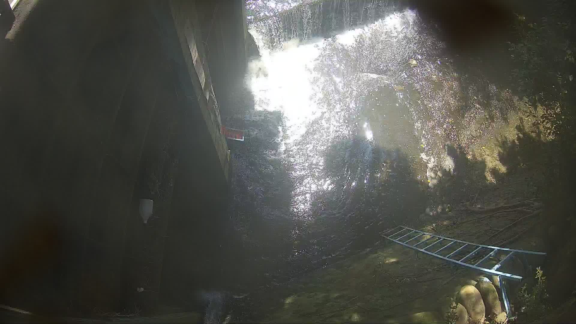 鳳山溪白地堤防 0K+030 監視器(內水)