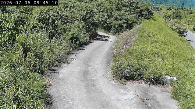 鸞山2 上游越堤路
