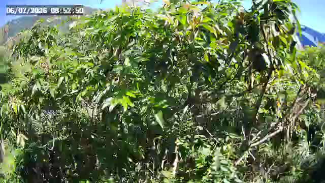 信義鄉同富護岸