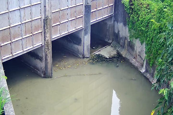 洋山出海口