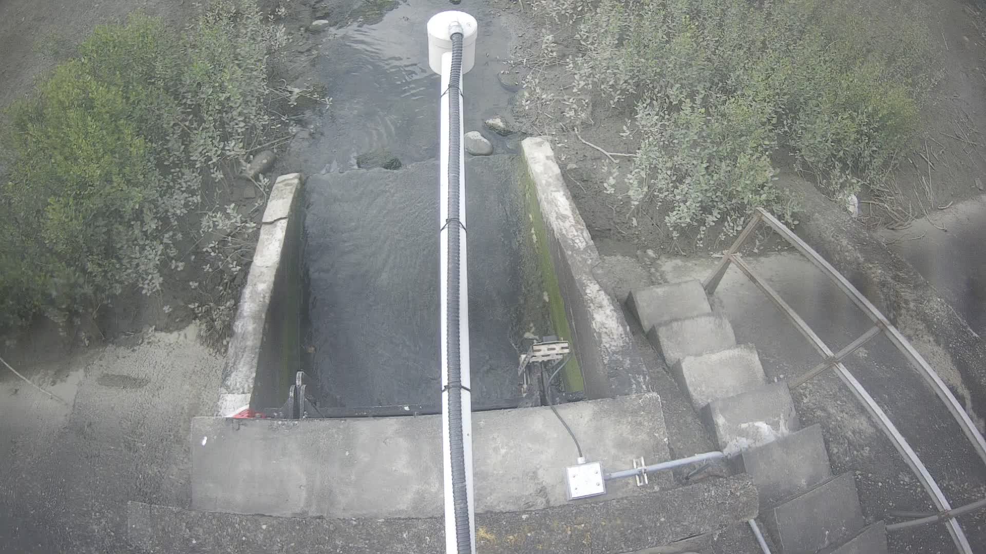 中港溪海口堤防 監視器(外水)