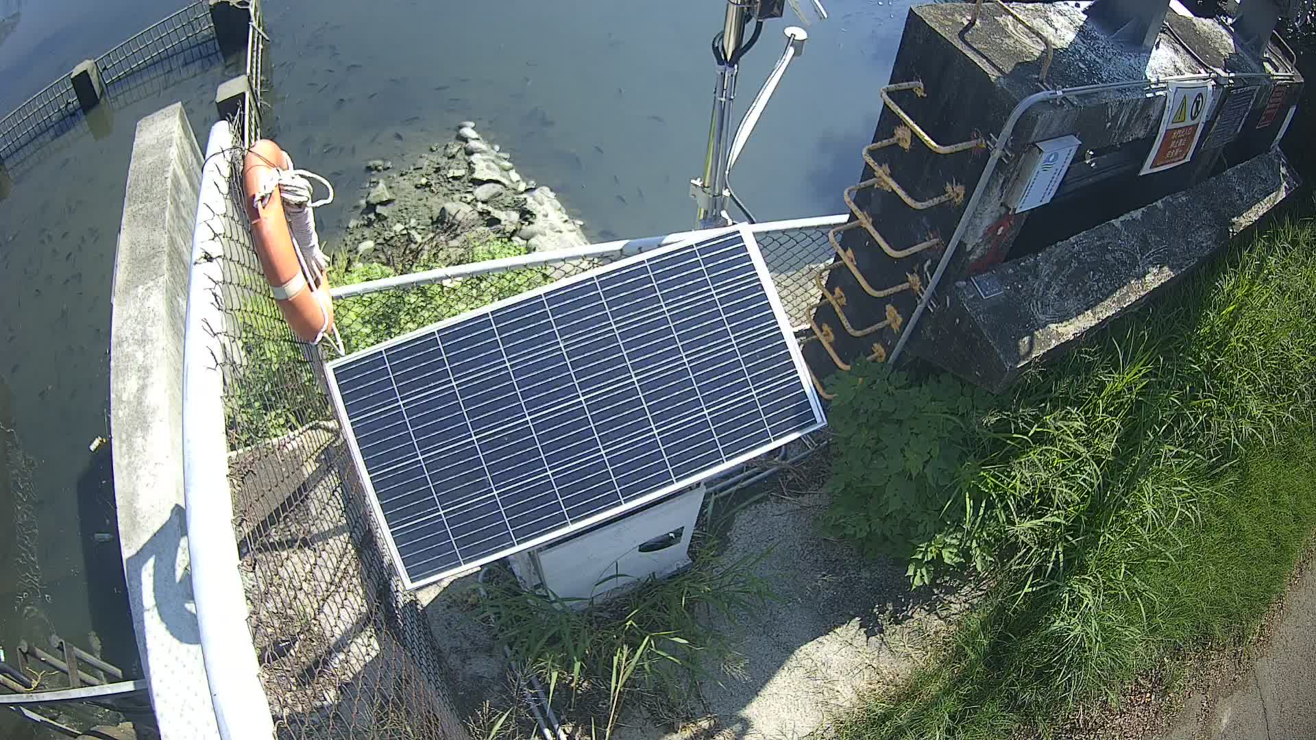 新竹市感潮段海埔地海堤 1K+732 監視器(內水防盜)