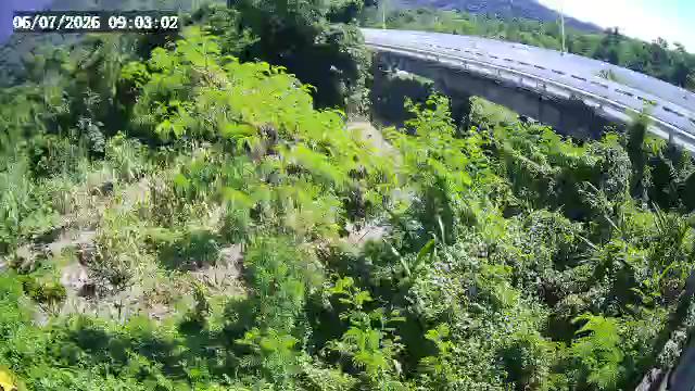 水源大橋
