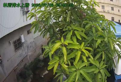 大雅區林厝排水上游