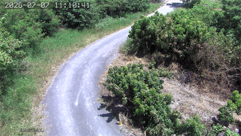 中投公路橋上游左岸