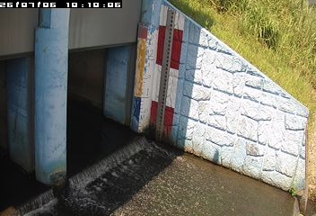茄苳林排水門外水位