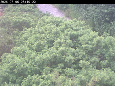 矮山堤防監控塔