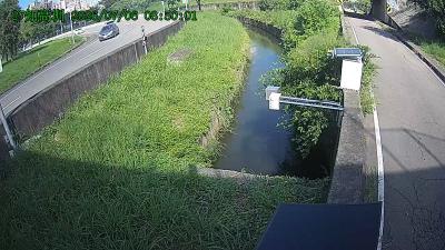 知高圳cctv