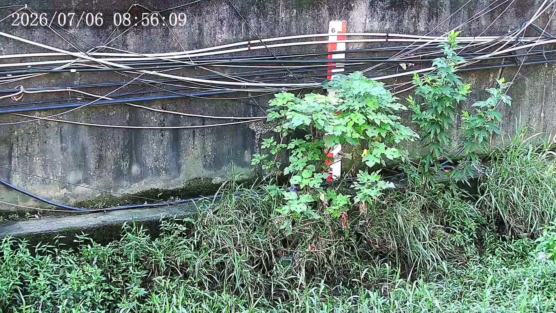 民享橋 監視器