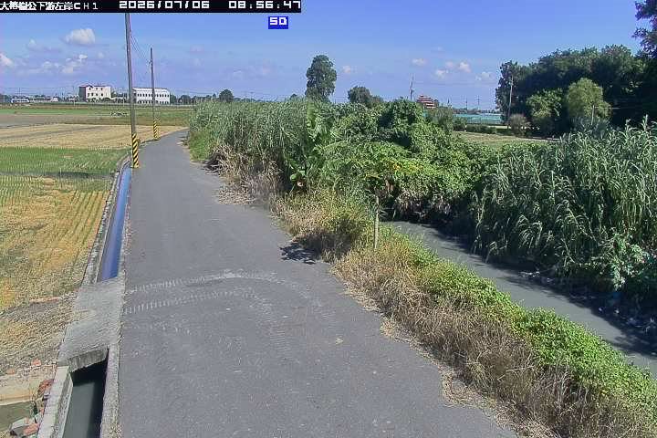 大榕樹公下游左岸