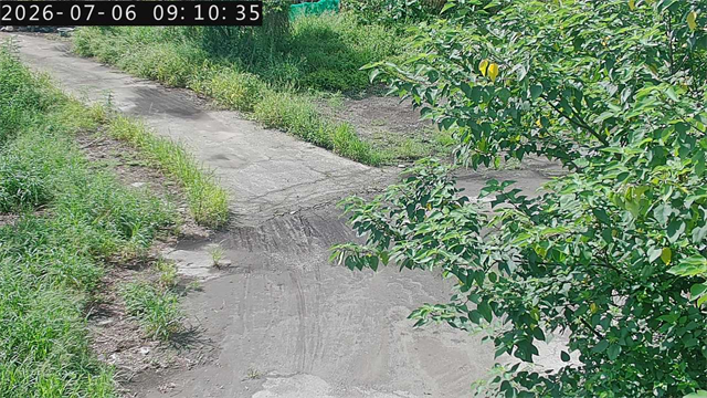 烏溪橋下游右岸
