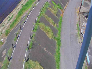 穎川堤防5+214
