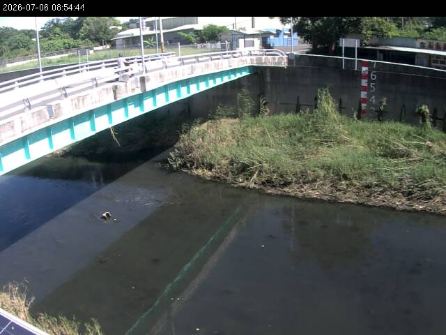 洋子下橋