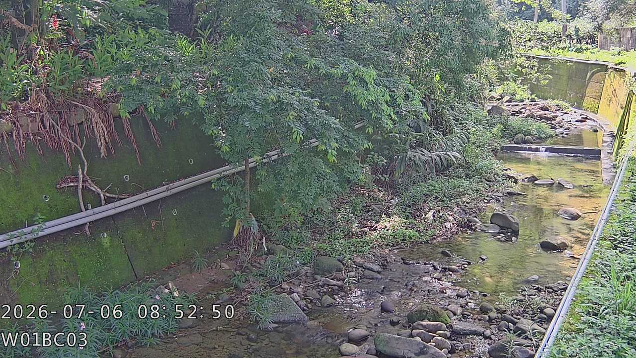 頭隘坑溪上游