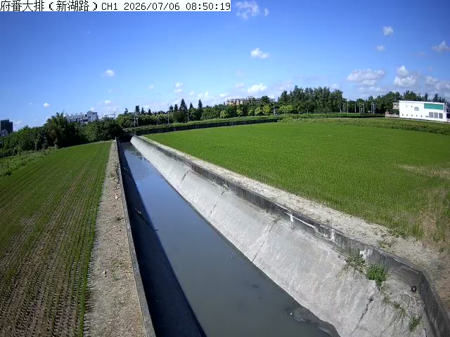 府番大排(新湖路)