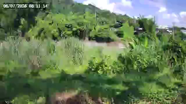 鹿谷清水護岸