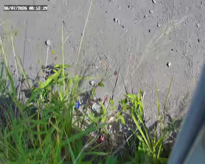 4號水門(內水)