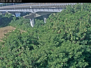 自強大橋