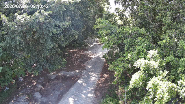 中彰下游左岸第二越堤正下方