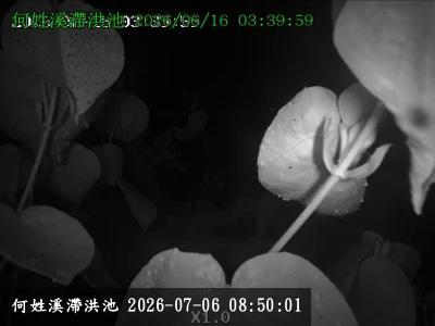 何姓溪滯洪池