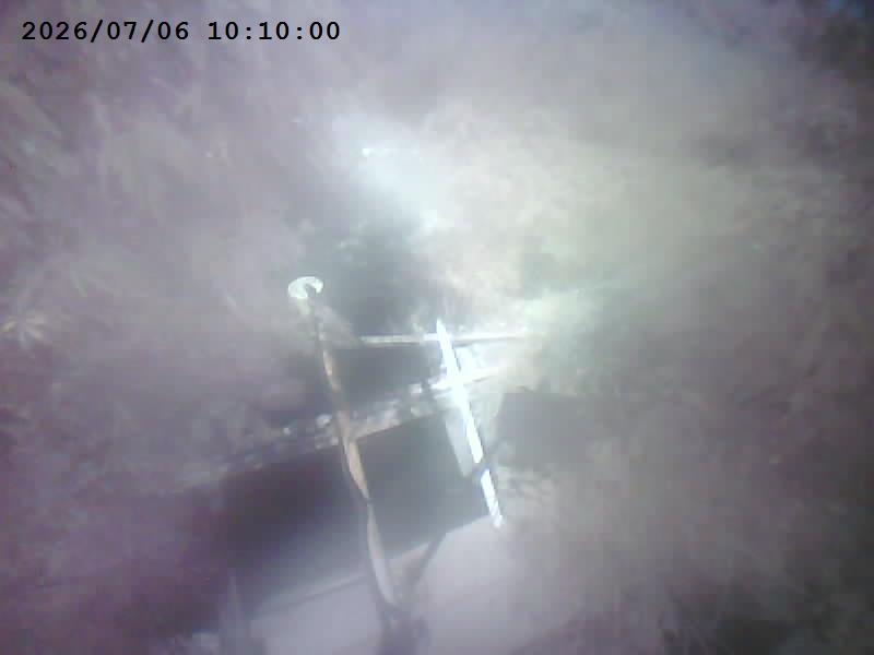 鹽水溪右岸溪心寮堤防8號水門 抓拍