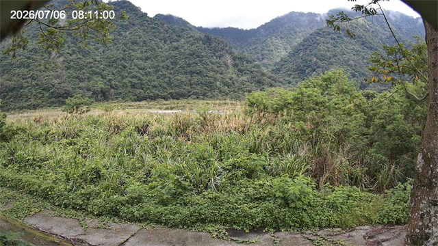 大安溪達觀堤防簡易站