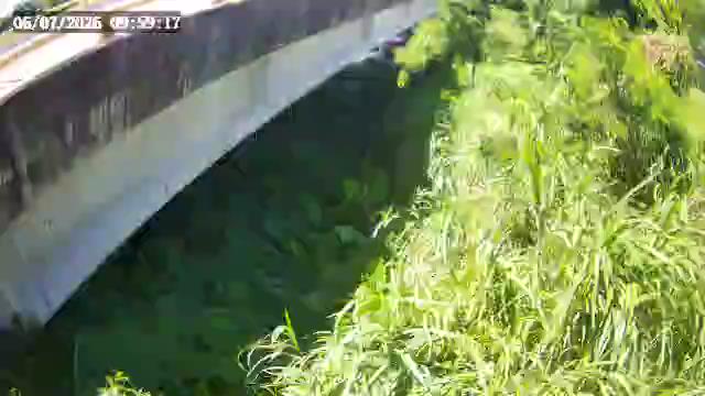 嘉國橋