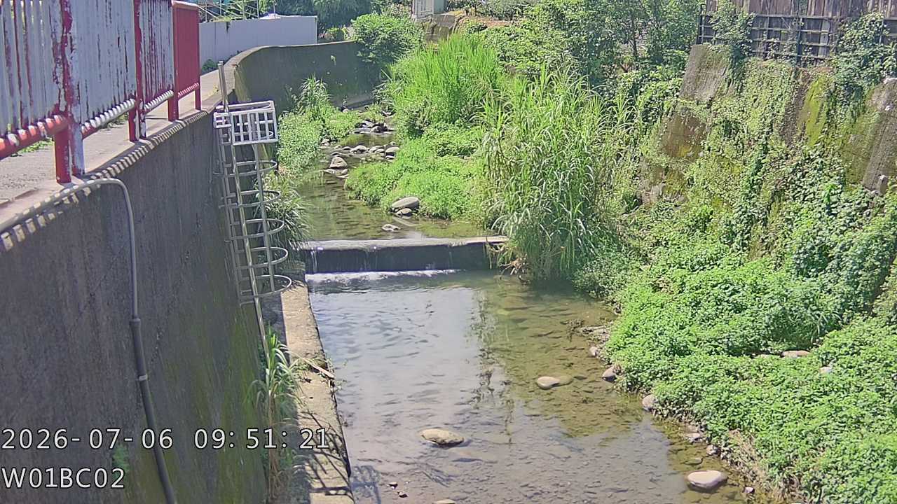 頭隘坑溪中游