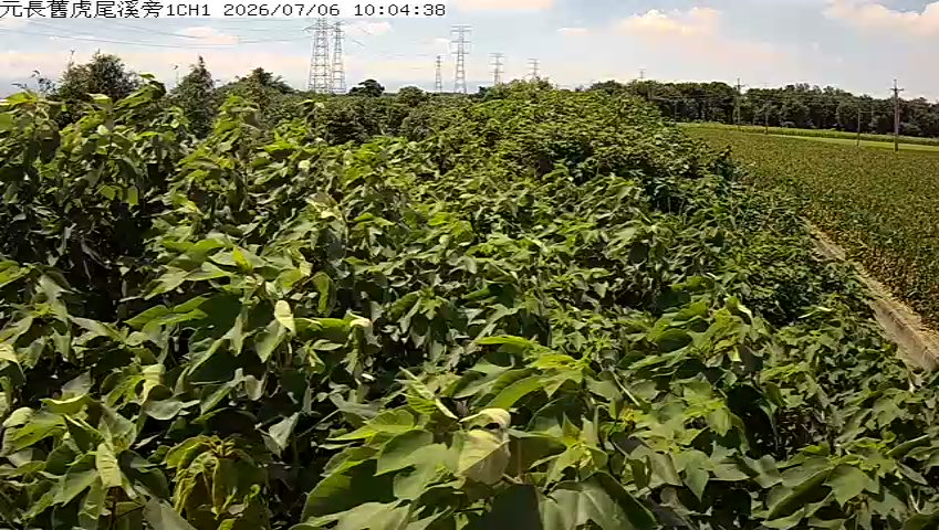 元長舊虎尾溪旁1